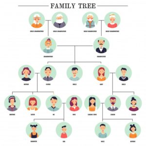 family tree